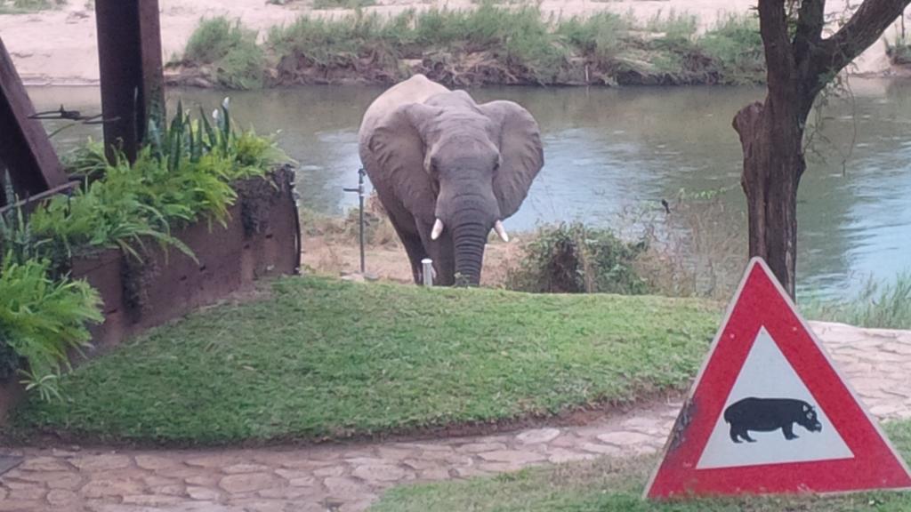 River House Lodge Malalane Eksteriør bilde