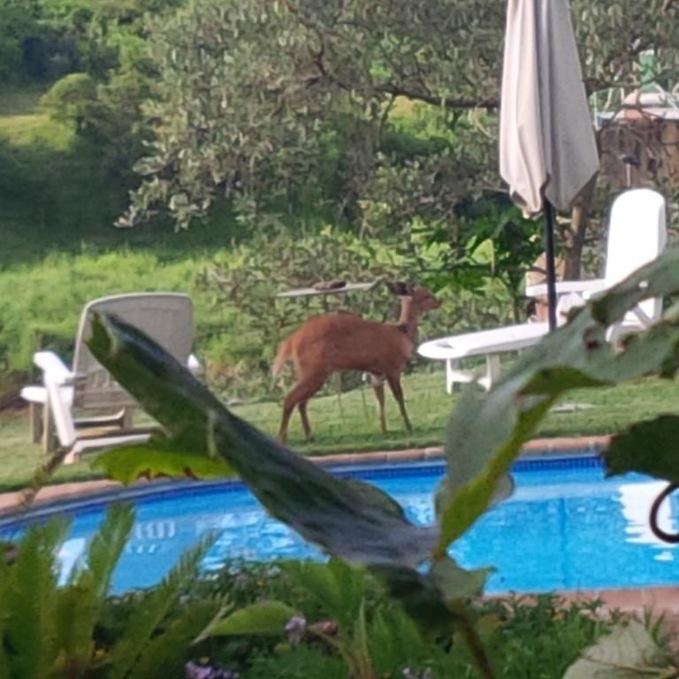 River House Lodge Malalane Eksteriør bilde