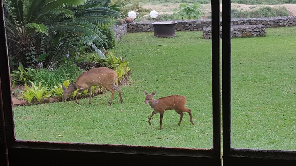 River House Lodge Malalane Eksteriør bilde