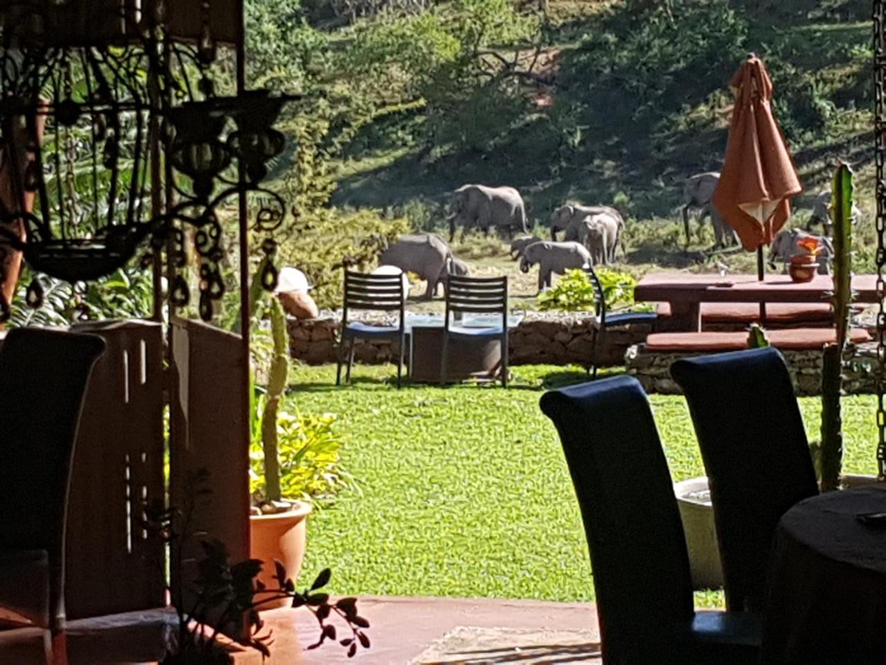 River House Lodge Malalane Eksteriør bilde